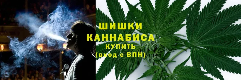 Каннабис Bruce Banner  Отрадная 